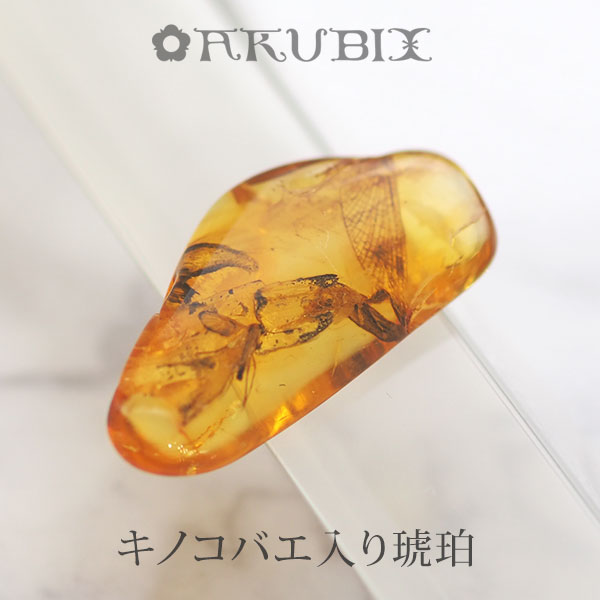 ひさぽん様ご予約　天然虫入り琥珀ルース 楽天市場】【天然琥珀】【虫入り琥珀】【琥珀ルース】バルト海