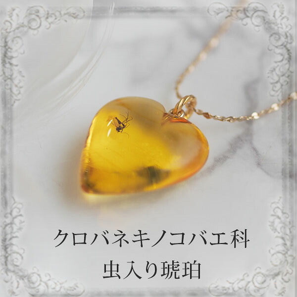 【バルト海の琥珀】ペンダント ネックレス 虫入り琥珀　こはく オニキス　ギフト　【musi422】【ケース付き】【天然石・パワーストーン】　【送料無料】　ラッピング