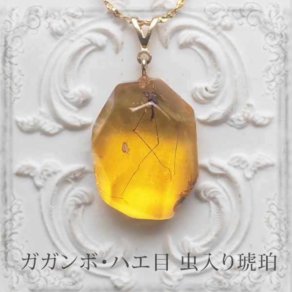 楽天市場】【バルト海の琥珀】ペンダント・ネックレス 虫入り