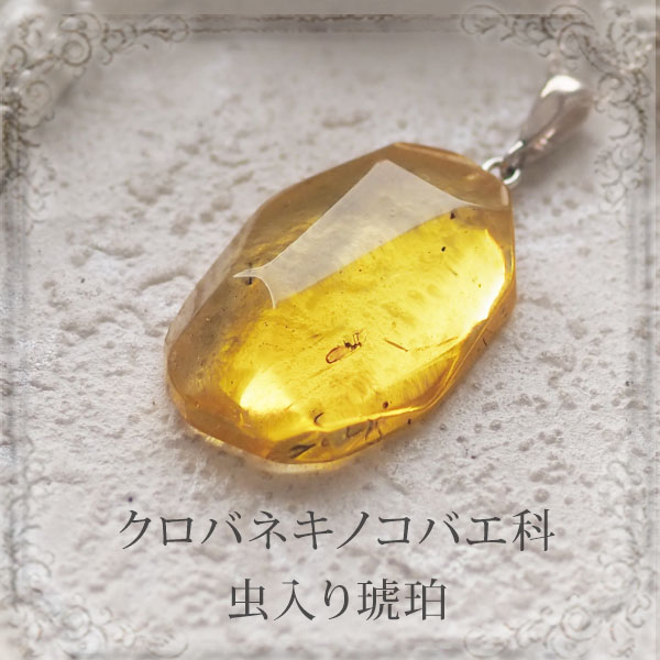 楽天市場】【バルト海の琥珀】ペンダントトップ 虫入り琥珀 こはく