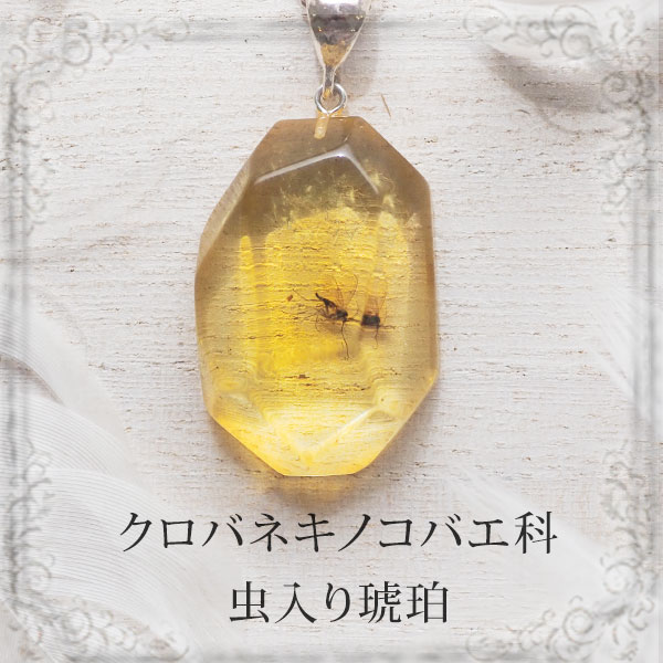 【バルト海の琥珀】ペンダント ネックレス 虫入り琥珀　こはく　ギフト　【musi431】【チェーン・ケース付き】【天然石・パワーストーン】　【送料無料】　ラッピング