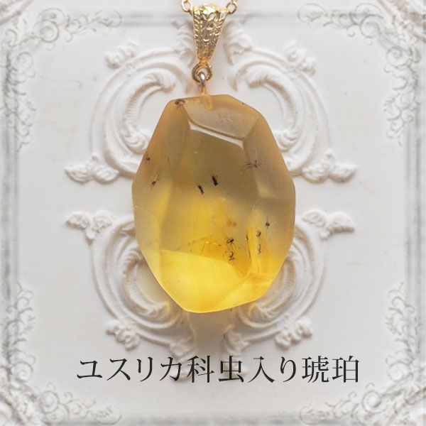 【バルト海の琥珀】ペンダント ネックレス 虫入り琥珀　こはく　ギフト　【musi432】【チェーン・ケース付き】【天然石・パワーストーン】　【送料無料】　ラッピング
