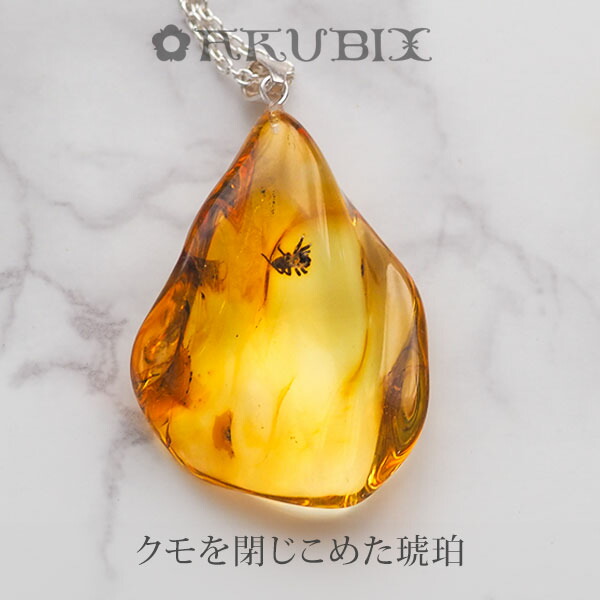 【バルト海の琥珀】ペンダント ネックレス 虫入り琥珀　こはく　ギフト　【musi435】【チェーン付き】【天然石・パワーストーン】　【送料無料】　ラッピング