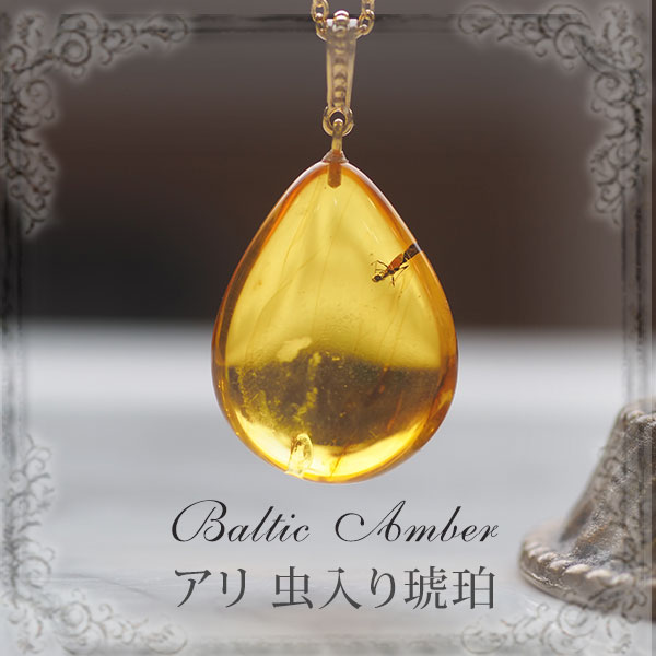 虫入り 琥珀」の人気商品一覧 | 安い商品を通販サイトから探す - 価格.