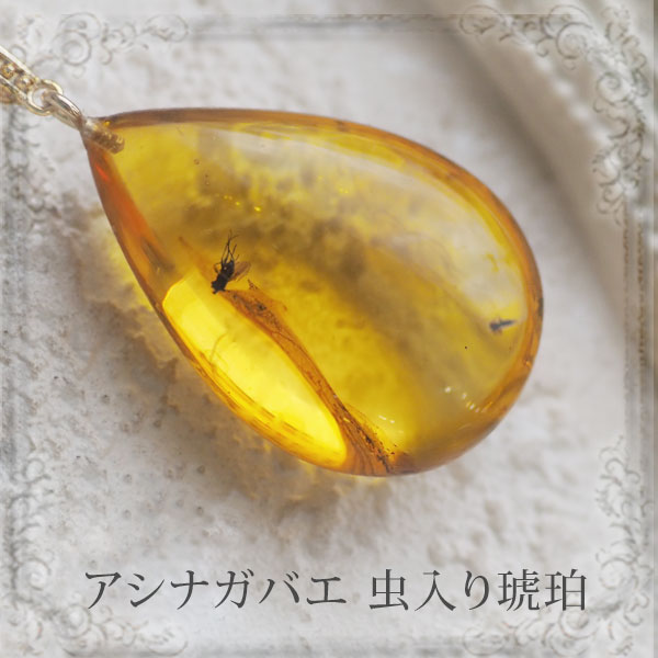 【バルト海の琥珀】ペンダント ネックレス 虫入り琥珀 こはく ギフト 【musi442】【チェーン・ケース付き】【天然石・パワーストーン】 【送料無料】 ラッピング|琥珀専門店アクビックス