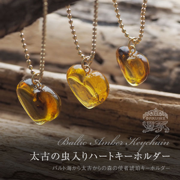 すんごい！アンモナイトのネックレスだよ！ すんごい！アンモナイトのネックレスだよ！ 楽天市場】化石