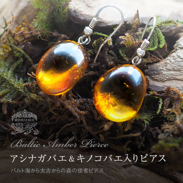 【バルト海の琥珀】アシナガバエ&キノコバエ入りピアス【送料無料】【ケース付】【musi455】天然石　パワーストーン　　魔よけ　　こはく　amber　ギフト　贈り物　ラッピング