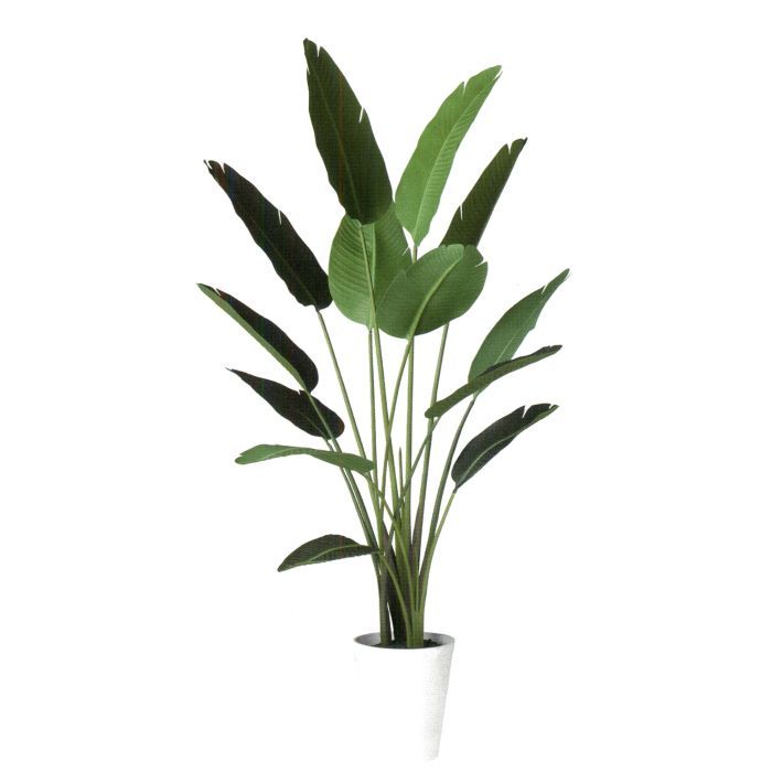 【造花 人工観葉植物】オーガスタ バーク付き / 高：190cm &times; 横：90cm / 造花・インテリア・ディスプレイ・グリーン | BV91873｜アクセソワール 34,678円