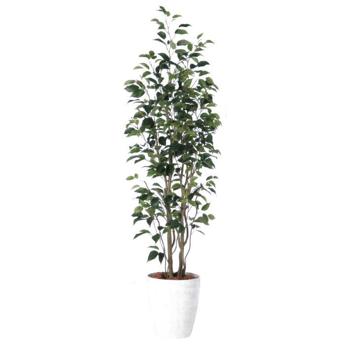【造花 人工観葉植物】ベンジャミンスリムFST バーク付き / 高:180cm × 横:50cm / 造花・インテリア・ディスプレイ・グリーン | BV98647|アクセソワール