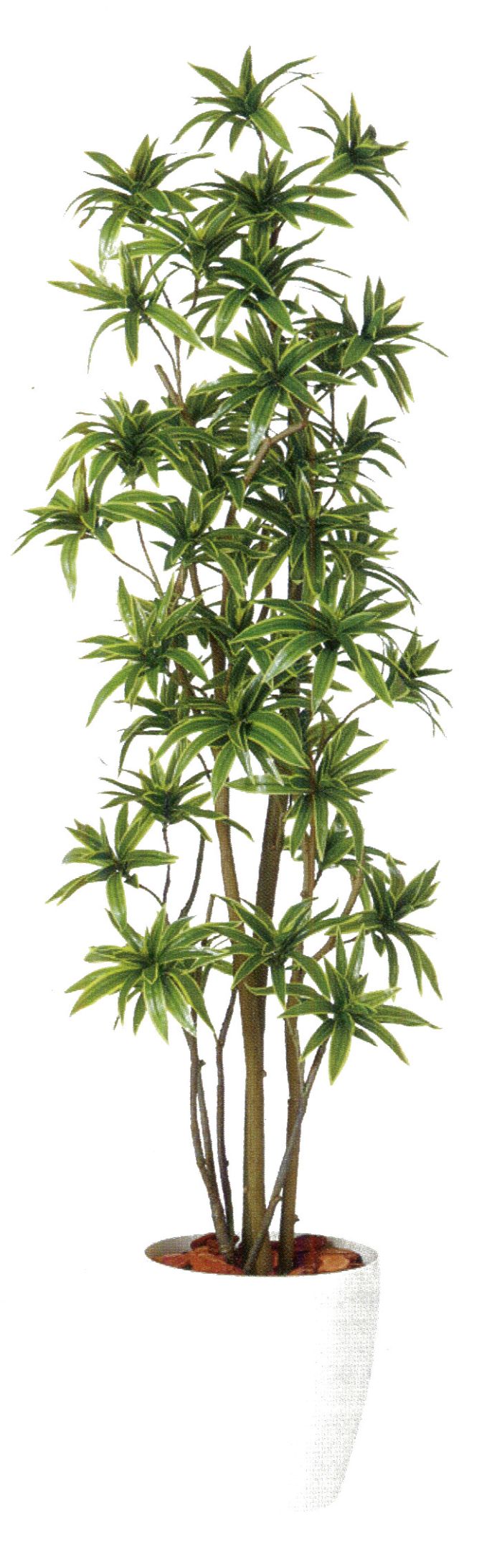 【造花 人工観葉植物】ソング・オブ・インディア バーク付き / 高：150cm × 横：50cm / 造花・インテリア・ディスプレイ・グリーン | BV98903