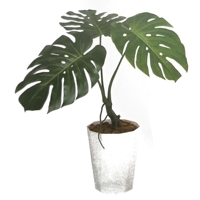 【造花 人工観葉植物】モンステラバイン バーク付き / 高：70cm &times; 横：60cm / 造花・インテリア・ディスプレイ・グリーン | BV99130｜アクセソワール