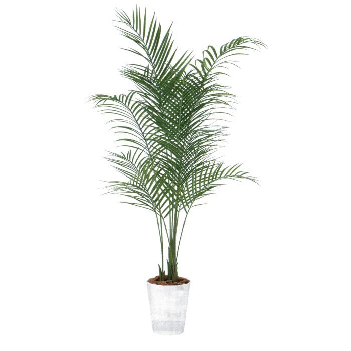 【造花 人工観葉植物】アレカヤシ バーク付き / 高：180cm × 横：80cm / 造花・インテリア・ディスプレイ・グリーン | BV99156