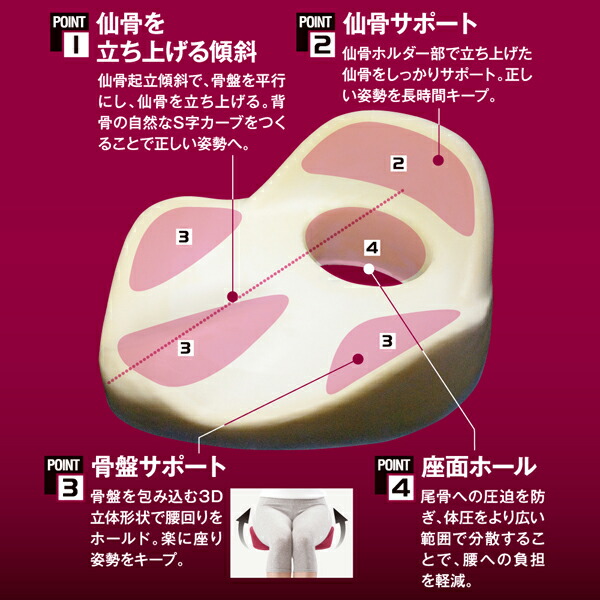 オンラインストア限定 仙骨クッション 仙律 骨盤 猫背 姿勢 背筋 サポート 腰痛 クッション 座椅子 デスクワーク 腰の負担を軽減するクッション オフィスチェア 日本産 Carlavista Com