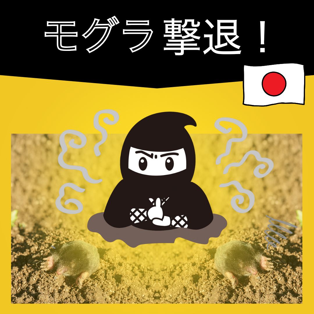 その病み患い、おうち世話をするでリセット！