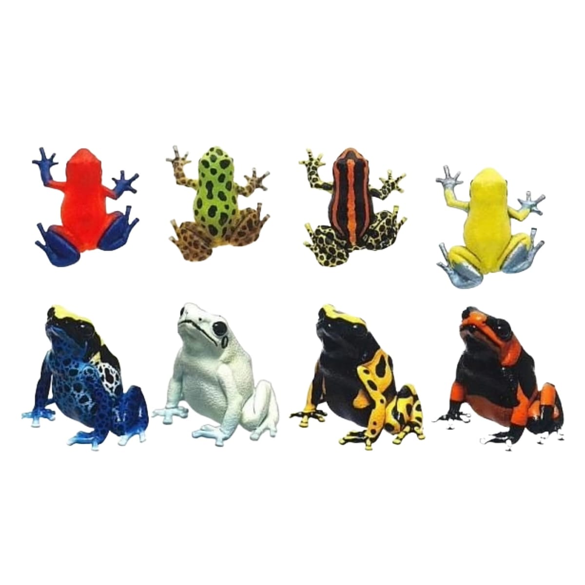 楽天市場】ネイチャーテクニカラー 日本のカエル 特装版 いきもん 【全