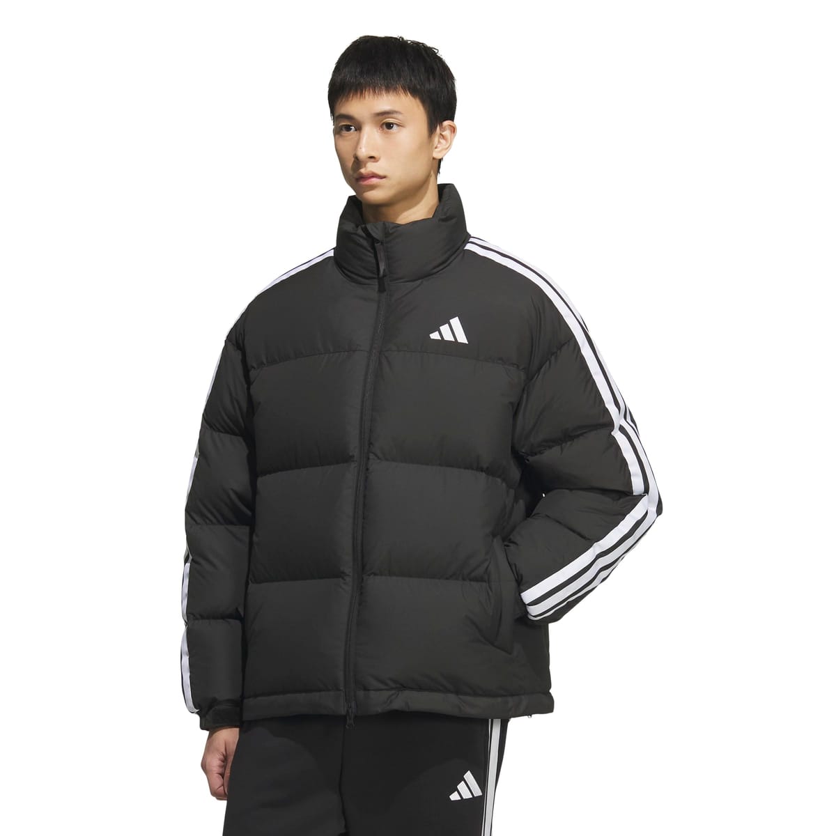 adidas(アディダス) ジャケット3ストライプス ショート ダウン ジャケット SU251メンズ