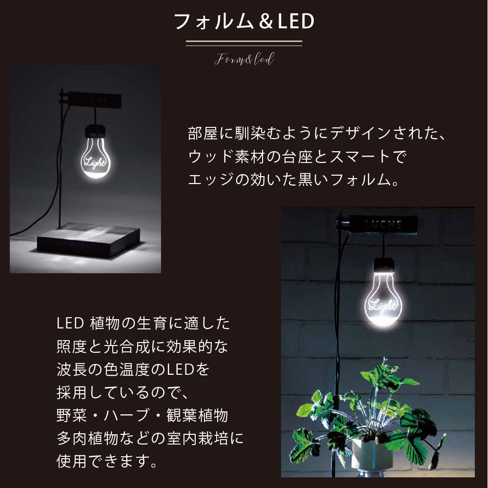 Ledスタンドライト 植物栽培 インテリア ライト 植物 野菜 照明 Led デスクスタンド 卓上 テーブルランプ Usb電源 ジェリーフィッシュ くらげ 宇宙飛行士 星座 星 スター かわいい おしゃれ 母の日 父の日 プレゼント Luche ルーチェ Educaps Com Br