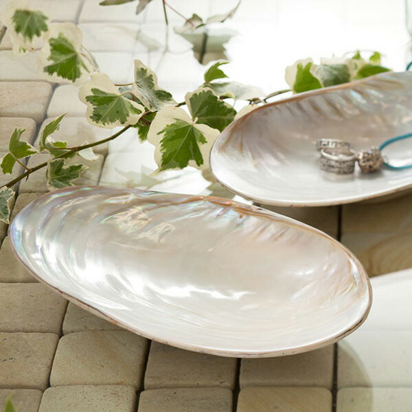 shell-sp-tray.jpg