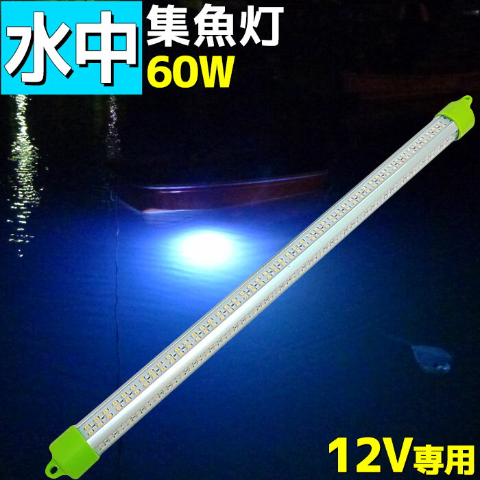 楽天市場】水中集魚灯 LED 集魚灯 水中ライト 水中集魚ライト LED 