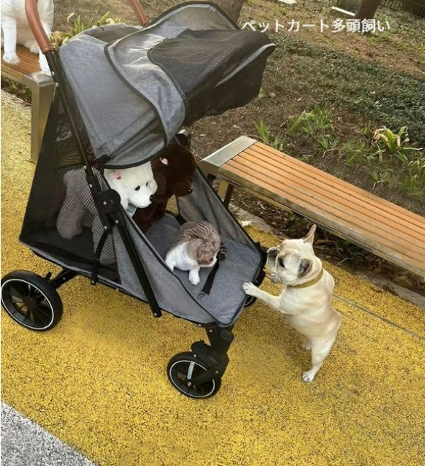 愛玩動物手押し車 愛玩動物用乳母車 大型犬 多役立つこと 折り畳み 多頭用 晴れ晴れしいな4輪大型愛玩動物手押し車 小型犬 中型犬 お勧め 折り畳み式 納める 助けになる ほっつき歩く 車椅子 愛玩動物用 大型犬 大あき場所 老いらく者 足手まとい猫 犬 戸外 犬用品-カート