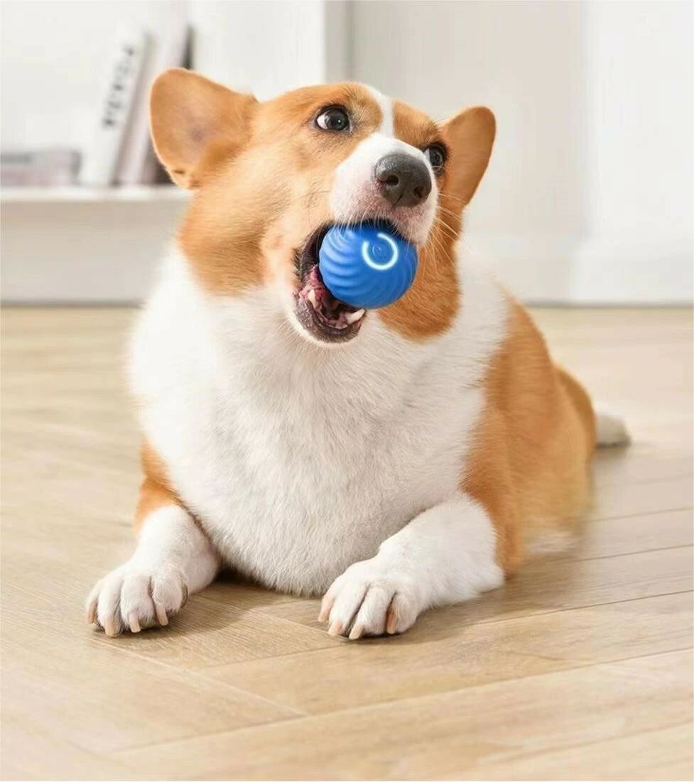 バウンド機能 揺れ 自動動き 光るボール Cheerble 電動ボール 犬おもちゃ ゴム 自動 ボール 犬 【天然ゴム噛み舐めOK！】