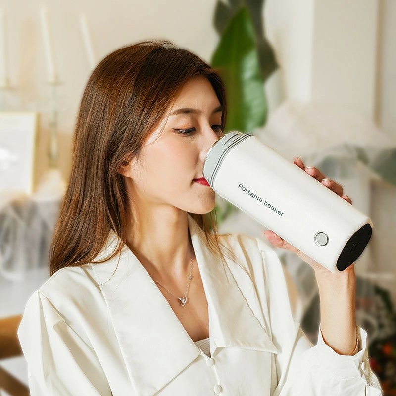 電気水筒 電気ケトル 電気ポット 30℃～100℃ 450ml DC12V小型車/24Vトラック兼用 魔法瓶ポット ポータブル 旅行 外出