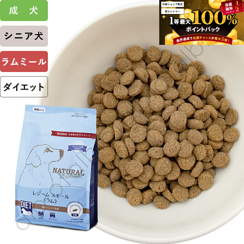 楽天市場】アーテミス アガリクス イミューンサポート I/S 中粒