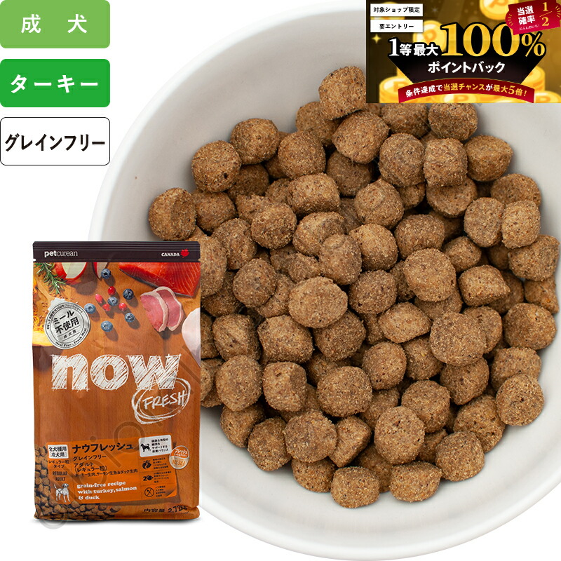 北海道送料分 未開封 JR北海道 特急4種セット チョロQ スーパーおおぞら