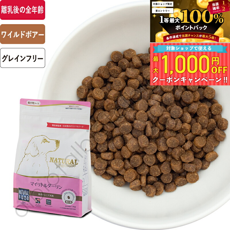 楽天市場】アーテミス アガリクス イミューンサポート I/S 中粒