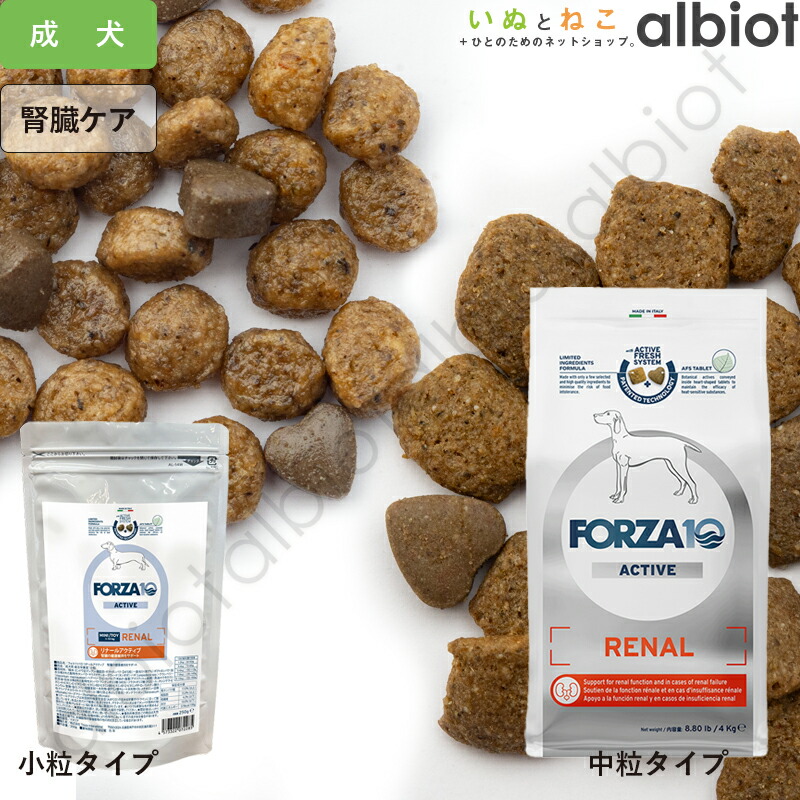 [PR]当店ご受け入れるの取り引き先へ 可動性人並み外れた出むかえ社会的運動のご御引き回し