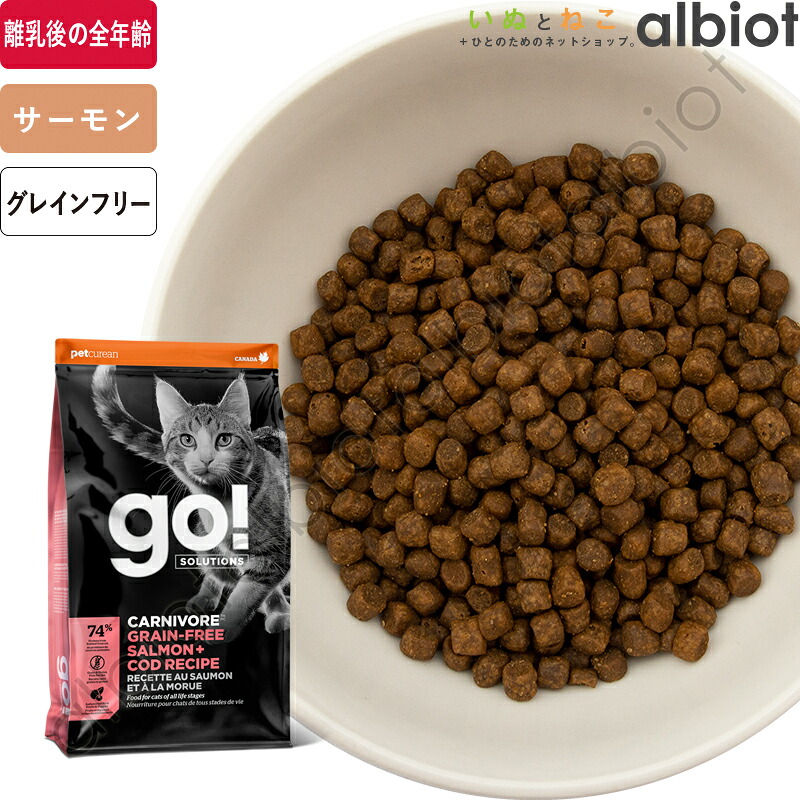 百貨店SALE特集ペイジ！ 2026年6月6日置き換え