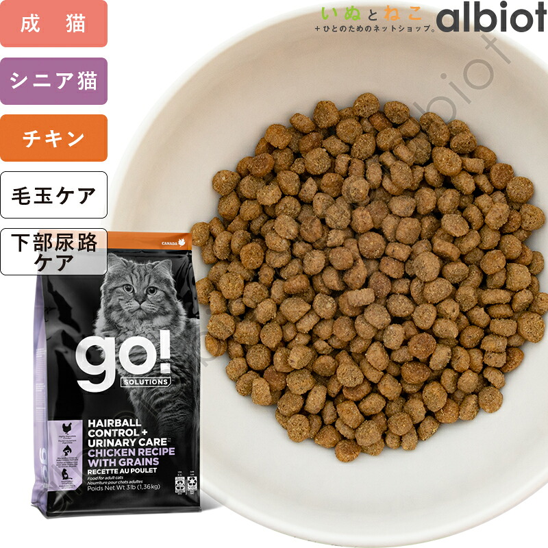 百貨店SALE特集ペイジ！ 2026年6月6日付け替え