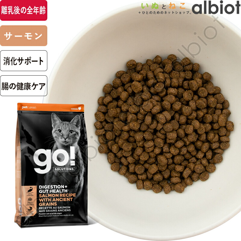百貨店SALE特集ペイジ！ 2026年6月8日置き換え