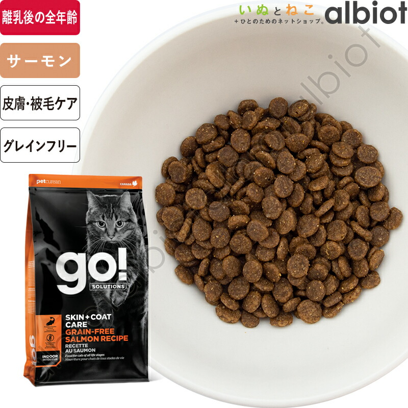 百貨店SALE特集ペイジ！ 2026年6月6日置き換え