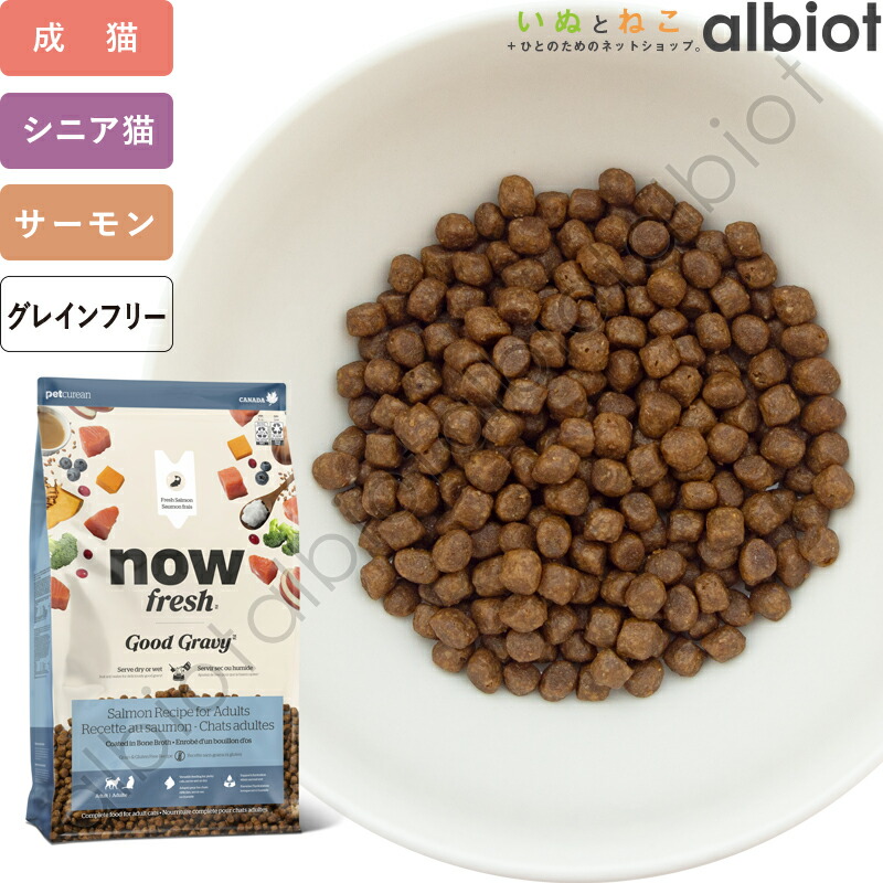 百貨店SALE特集ペイジ！ 2026年6月6日置き換え