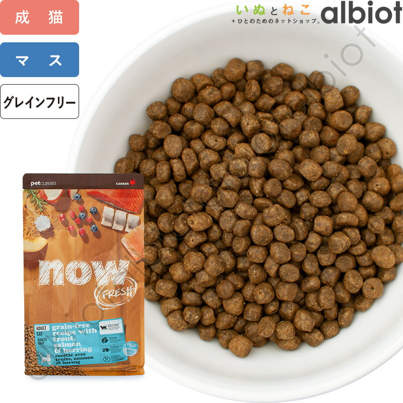 百貨店SALE特集ペイジ！ 2026年6月6日置き換え