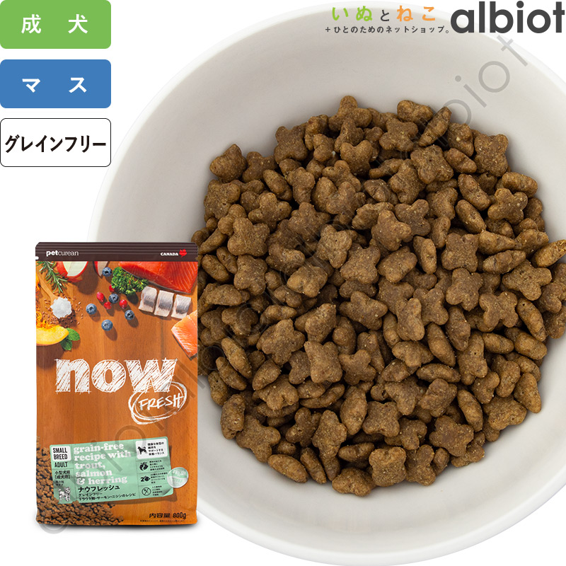 百貨店SALE特集ペイジ！ 2026年6月6日置き換え