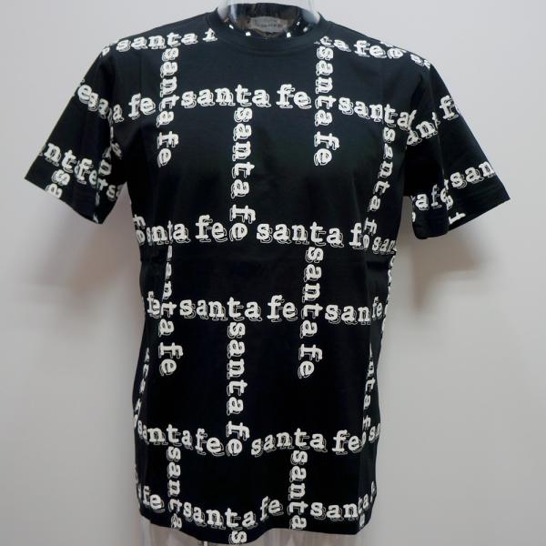 サンタフェ・24 春夏 SS 新作・コットンスムース 総柄 半袖Tシャツ(54)(4L)24-81851-019-54 キングサイズ