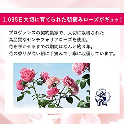 ロクシタン L Occitane ローズ ハグ キス セット 30ml 12ml septicin Com