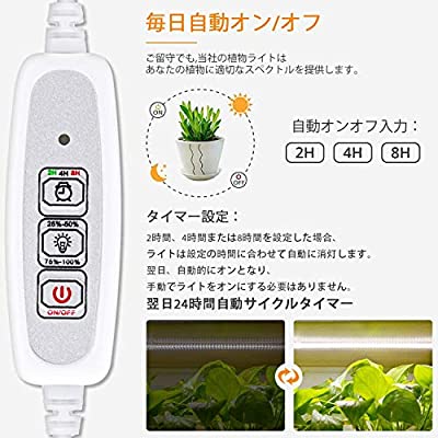 Greensindoor 植物育成ライト Led 植物ライト 室内栽培ランプ 自然な光の色 タイミング定時機能 2h 4h 8h 4段階調光 30w省エネ 日照不足解消 多肉植物育成 水耕栽培ランプ 家庭菜園 室内園芸 日本語説明書 3 Kanal9tv Com