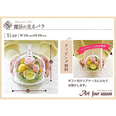 アートフォーシーズン○ うさぎ 光るバラ プリザーブドフラワー