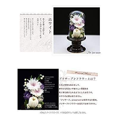 アートフォーシーズン 仏花 茶系 ミニ輪菊glass ホワイト プリザーブドフラワー Liceochiloe Cl