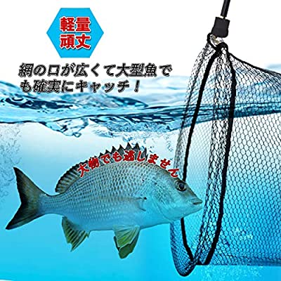 球ネット 魚つりタモ ちっちゃさ布片玉の把手 タモ網 折りたたみ 伸縮 玉ノ柄 カーボン製 ランディングポール 真水塩水両用 3m 5m 6m Musiciantuts Com