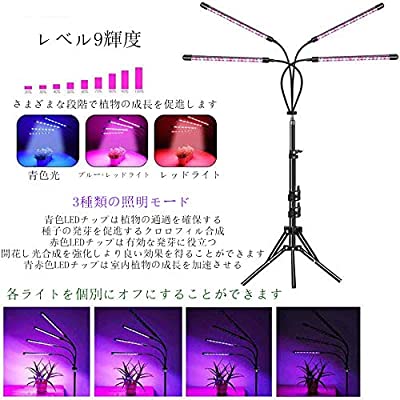 21年中プログレス変形 草木起料瓦燈led 植物生育つ火灯 育苗ライトled お水草ライト 室内観葉植物ライト 水耕作り出す用ランプ 植物用led ライト 多肉植物育成ライト 白色 温室 室内園芸 水草栽培 草片ワークショップ アグリカルチャー 園芸用用品 旱魃品薄廃棄 照らし