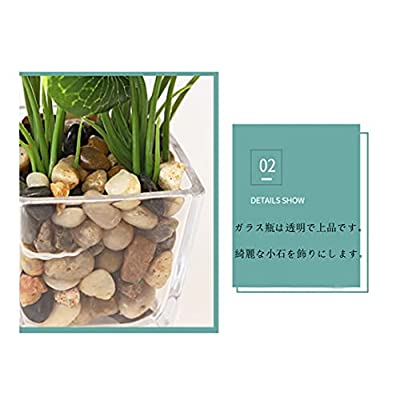 Aicvhin 人工観葉植物 光触媒 プレミアム 造花 観葉植物 簡単世話いらず フェイクグリーン ガラス鉢 蓮の葉 Mydrap Com