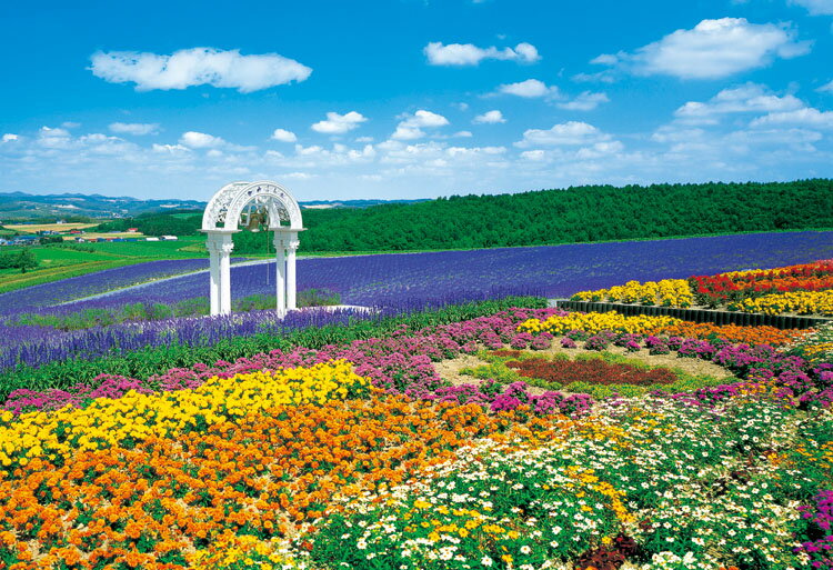 おトク EPO-26-217 風景 あじさい薫る箱根登山鉄道 300ピース ジグソーパズル エポック社 CP-NI パズル Puzzle ギフト  誕生日 プレゼント orlandogomes.org.br