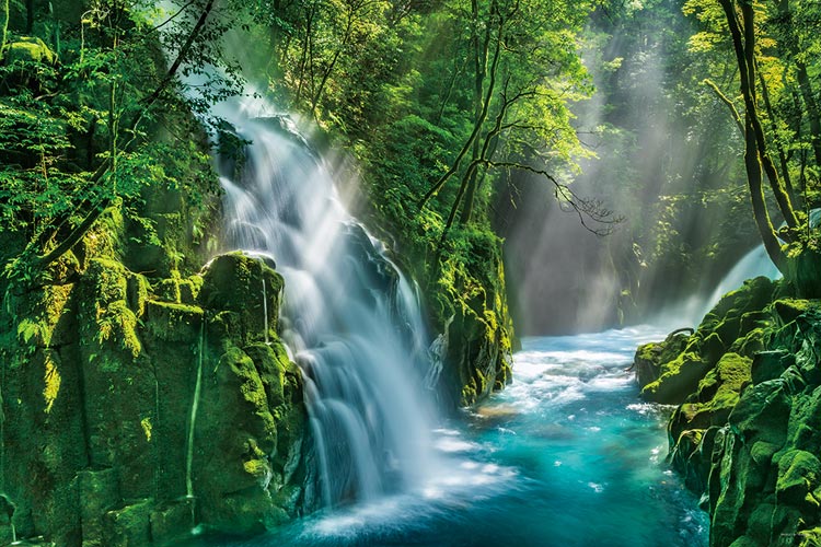 自然風景 ジグソーパズル 木製フレーム 完成 完成品 1000ピース 森林