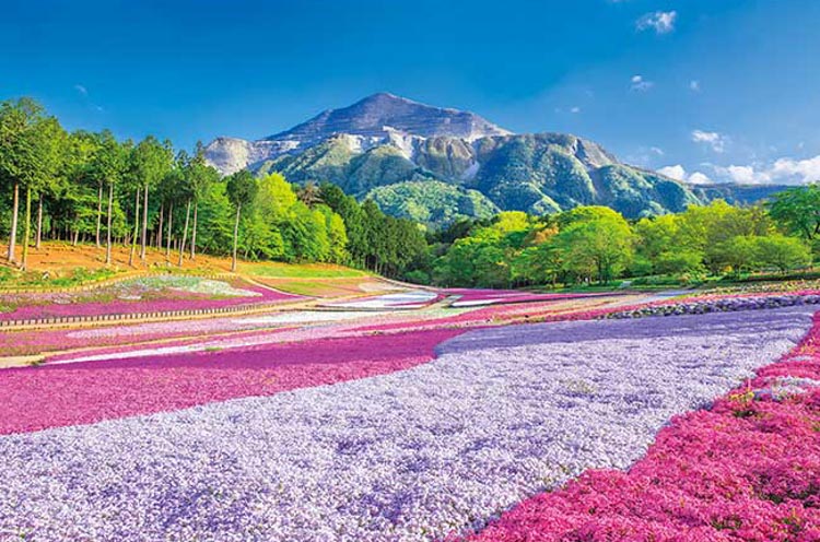 ＊springbok 1000ピースジグソーパズル 湖と山の風景 springbok 1000ピースジグソーパズル 湖と山の風景 Amazon.co.jp