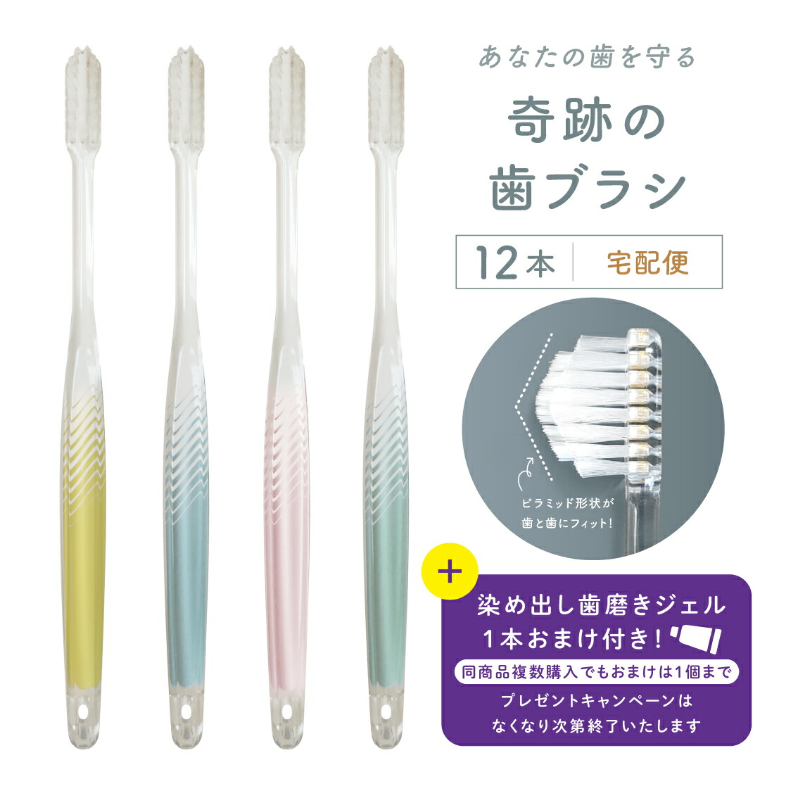 楽天市場】公式 奇跡の歯ブラシ〈トライアングルハンドル〉 3本セット