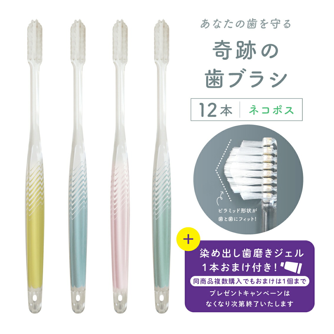 楽天市場】奇跡の歯ブラシ 3本セット クリアブラック クリアブラウン